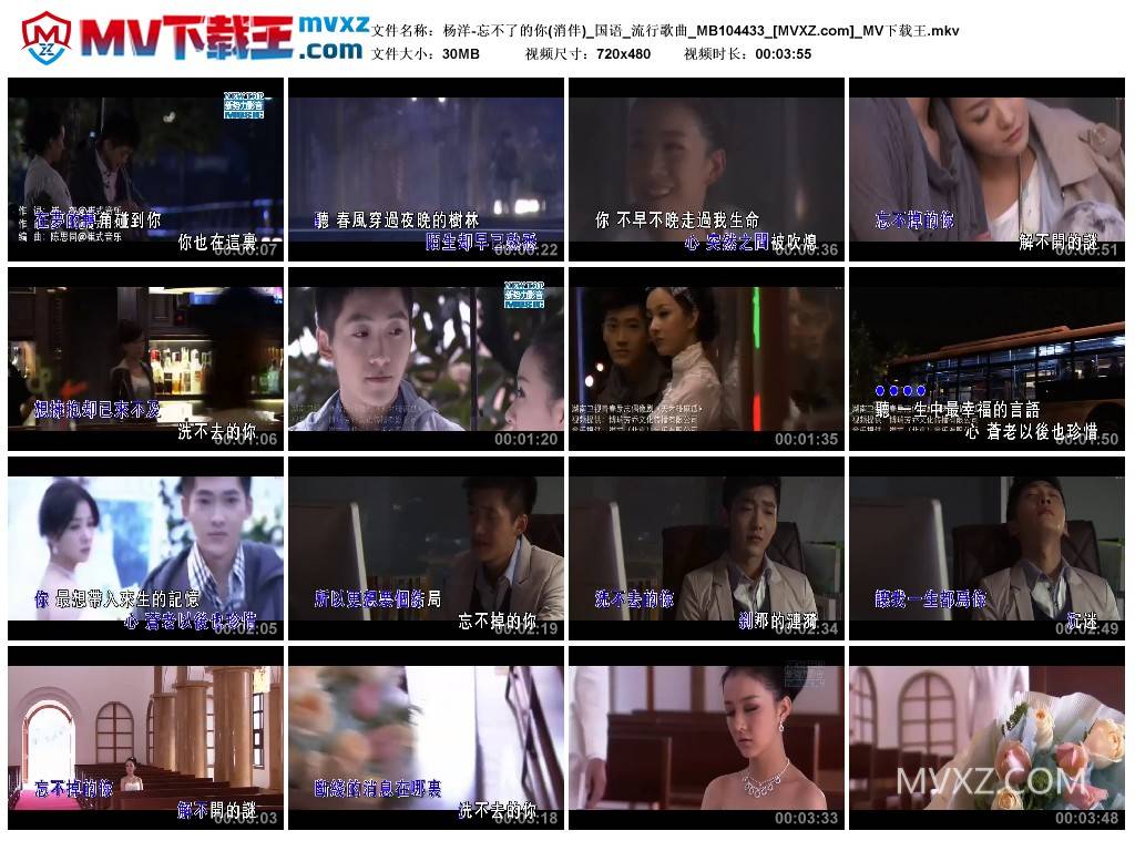 杨洋-忘不了的你(消伴)_国语_流行歌曲_MB104433